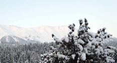 नॉर्थ ईस्ट में खुशनुमा हुआ मौसम : दार्जिलिंग में 15 साल बाद बिछी सफेद चादर, अरुणाचल के डारिया हिल में भी 34 साल बाद हुई बर्फबारी