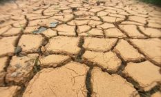 नागालैंड में हुई बेहद कम बारिश, NSDMA ने घोषित किया मध्यम सूखा प्रभावित राज्य

