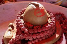 Mahashivratri पर शिवलिंग के पार्थिव पूजन तुरंत होगी मनोकामना पूर्ण, इस विधि से करें पूजा