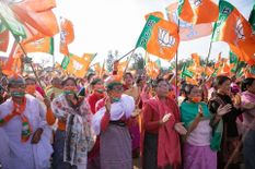 भाजपा और कांग्रेस दोनों रही फिसड्डी, सिर्फ इतनी सी महिलाओं को उतारा चुनावी मैदान में