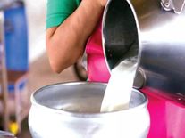 होली जाते ही लगा महंगाई का झटका, दूध हुआ 5 रुपये लीटर महंगा