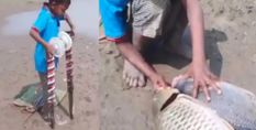 बच्चे ने मछली पकड़ने के लिए बनाया ऐसा देसी जुगाड़, देखकर रह जाएंगे दंग, आनंद महिंद्रा ने शेयर किया वीडियो

