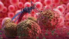 Dengue Fever: गर्मी का मौसम आते ही बढ़ा डेंगू का खतरा, जानिये डेंगू के लक्षण और बचाव के तरीके