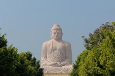 Buddha Purnima 2022 Date: बुद्ध पूर्णिमा 16 मई को , जानिए शुभ मुहूर्त, महत्व व इस दिन व्रत-दान का लाभ

