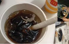 McDonald’s का घिनौना कारनामा आया सामने,  कोल्ड ड्रिंक में निकली मरी हुई छिपकली