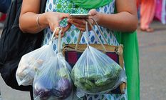गोले सरकार का बड़ा फैसला, सिक्किम में सिंगल यूज प्लास्टिक पर प्रतिबंध