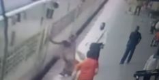 आरपीएफ कर्मी की सतर्कता ने बचाई चलती ट्रेन से गिरे युवक की जान 