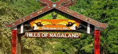 नागालैंड को एक मजबूत क्षेत्रीय पार्टी की जरूरत, जानिए द राइजिंग पीपुल्स पार्टी ने क्यों कही ये बात