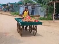 क्या ये है 21वीं सदी का भारतः गर्भवती महिला को नहीं मिली एंबुलेंस, ठेले पर अस्पताल लेकर पहुंचा पति