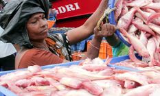 मणिपुर, त्रिपुरा पूर्वोत्तर में मछली के उत्पादन को बढ़ाने पर सहमत हुए