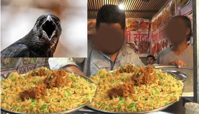 नॉनवेज खाने वाले सावधान! बिरयानी में चिकन की बजाए खिलाया जा रहा कौवे का मीट