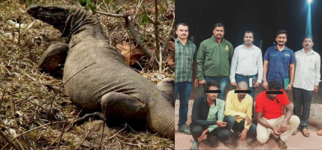 घोर कलियुग! चार लोगों ने छिपकली के साथ किया गैंगरेप, सीसीटीवी फुटेज में दिखी करतूत - bengal monitor lizard raped in sahyadri tiger reserve maharashtra | Dailynews